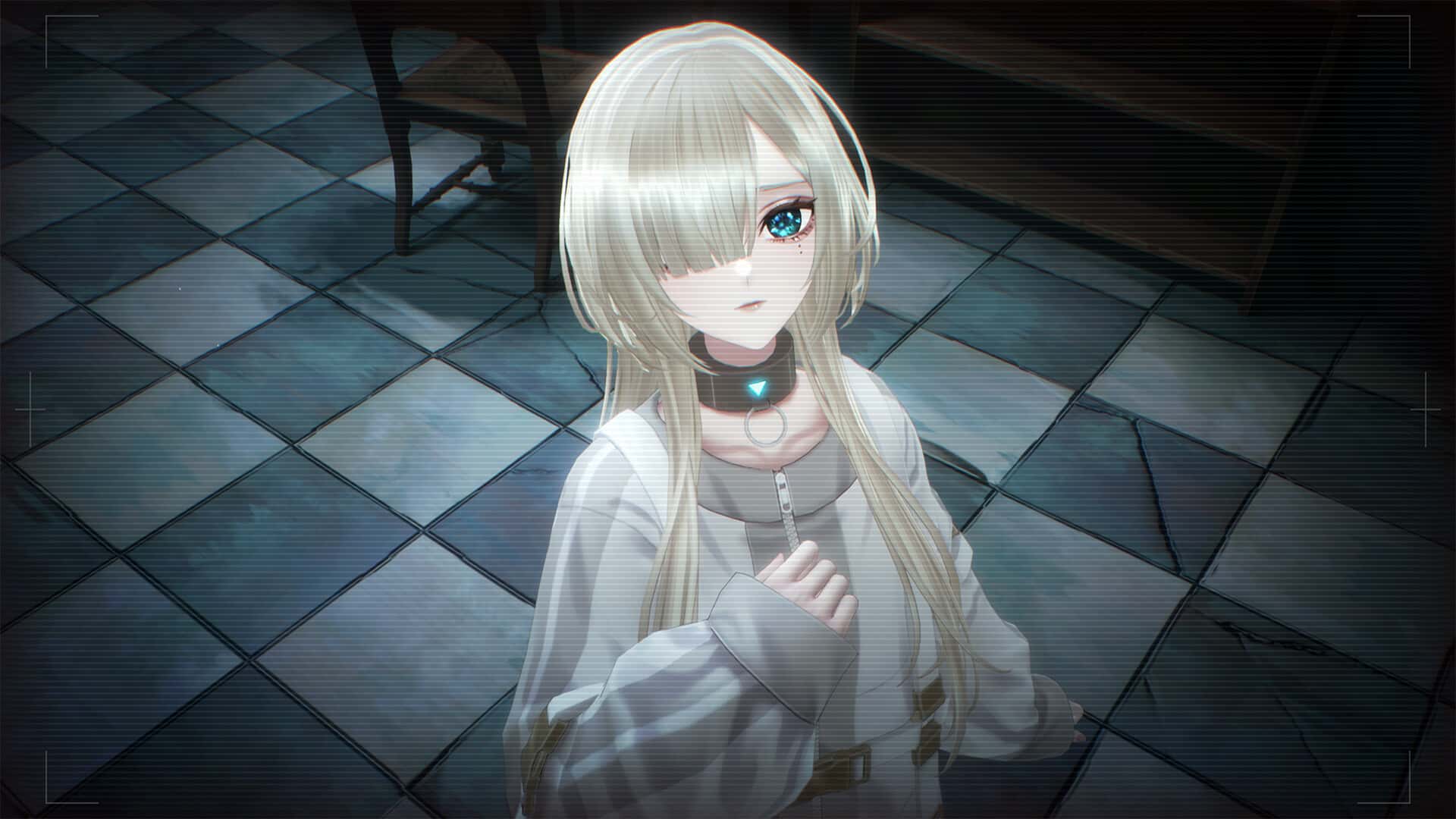视觉数据2